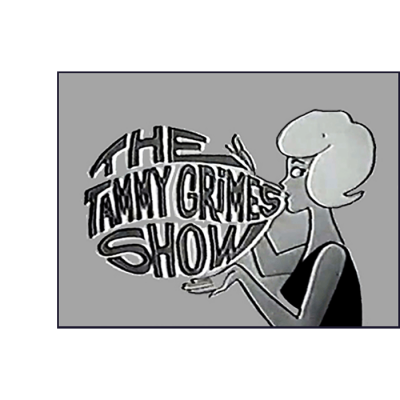 THE TAMMY GRIMES SHOW