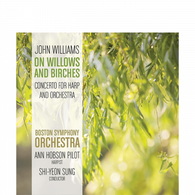 SHI-YEON SUNG - ON WILLOWS AND BIRCHES